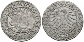 Zygmunt I Stary, Grosz Toruń 1533 - PRVSSIE Odmiana legendowa PRVSS / PRVSSIE. Reference: Kopicki 3088, Kurpiewski 318 (R)
Grade: VF+ 