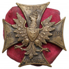 Odznaka, Front Litewsko-Białoruski 1919-1920 Wersja żołnierska (nie emaliowana).&nbsp; Dwuczęściowa, bita z kontrą. Nakrętka anonimowa, luźno dopasowa...
