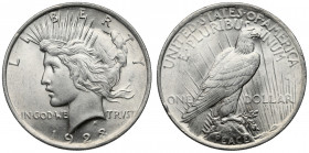 USA, Dollar 1923 - Peace Dollar 
Grade: AU 
