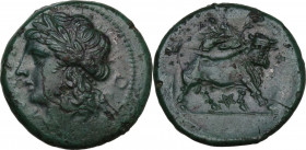 Greek Italy. Samnium, Southern Latium and Northern Campania, Teanum Sidicinum. AE 20.5 mm. c. 265-240 BC. Obv. Laureate head of Apollo left; in front,...