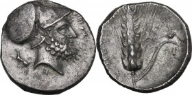 Greek Italy. Southern Lucania, Metapontum. AR Stater, c. 340-330 BC. Obv. [ΛEΥKI]ΠΠOΣ. Head of bearded Leukippos right, wearing Corinthian helmet; dog...