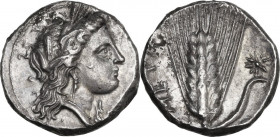 Greek Italy. Southern Lucania, Metapontum. AR Stater, c. 330-290. Obv. Head of Demeter right, wearing barley-wreath, triple pendant earring and neckla...