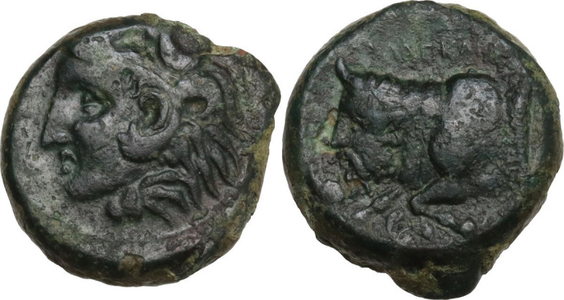 Sicily. Agyrion. AE 15 mm, c. 355-339 BC. Obv. [ΑΓΥΡΙΝΑΙΟΝ]. Head of young Herak...