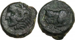 Sicily. Agyrion. AE 15 mm, c. 355-339 BC. Obv. [ΑΓΥΡΙΝΑΙΟΝ]. Head of young Herakles in lion skin headdress left. Rev. [Π]ΑΛΑΓΚΑΙΟ[Σ]. Forepart of man-...
