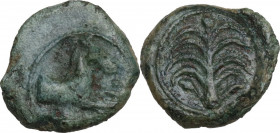 Sicily. Motya. AE Onkia, c. 400-397 BC. Obv. Forepart of horse right. Rev. Palm tree. Cf. HGC 2 951; Cf. CNS I 3; Cf. SNG ANS -; Campana 20. AE. 1.32 ...