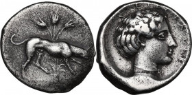 Sicily. Segesta. AR Didrachm, 412-400 BC. Obv. Hound right, three grain ears in background. Rev. Σ - EΓEΣTAIOИ. Head of nymph Segesta right. HGC 2 115...