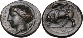 Sicily. Syracuse. Agathokles (317-289 BC). AE 17 mm, c. 317-310 BC. Obv. ΣΥΡΑΚΟΣΙΩΝ. Head of Arethousa left; behind, corn-ear. Rev. BUll butting left;...