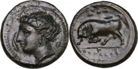 Sicily. Syracuse. Agathokles (317-289 BC). AE 17 mm, c. 317-310 BC. Obv. Head of Arethousa left; before, dolphin; behind, corn-ear. Rev. Bull butting ...