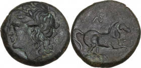 Sicily. Syracuse. Hieron II (274-215 BC). AE 16.5 mm, c. 269/5-240 BC. Obv. Laureate head of Apollo left. Rev. Horse galloping right; above, AY; [in e...