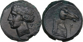 Punic Sardinia. AE 29 mm. Time of the First Punic War, c. 264-241 BC. Obv. Wreathed head of Tanit left, wearing triple-pendant earring and necklace; b...