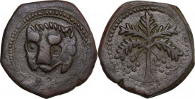 Messina. Guglielmo II (1166-1189). Follaro post 1180. D/ Testa di leone. R/ Palmizio con datteri. Sp. 117; Travaini 1995 370; D'Andrea-Contreras (Norm...