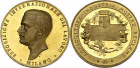 Vittorio Emanuele III (1869-1943). Medaglia premio e Croce d'Onore al merito industriale. Esposizione Internazionale del Lavoro di Miano, 1917. D/ ESP...