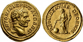 Caracalla, 198-217. Aureus (Gold, 20 mm, 7.11 g, 12 h), Rome, 212-213. ANTONINVS PIVS AVG BRIT Laureate head of Caracalla to right. Rev. PROVIDENTIAE ...