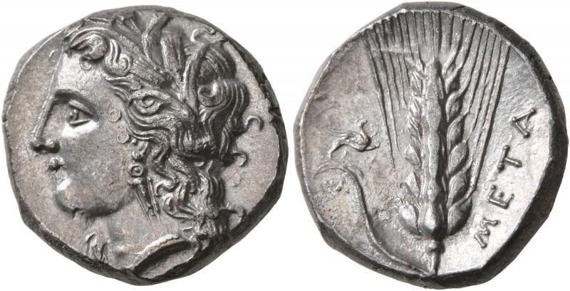 LUCANIA. Metapontion. Circa 330-290 BC. Didrachm or Nomos (Silver, 20 mm, 7.93 g...