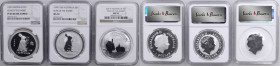 AUSTRALIA. Trio of Silver Dollars (3 Pieces), 1999-2011. Lunar Series, Year of the Rabbit. Perth Mint. All NGC Certified.

1) 1999 "P100". NGC PROOF...