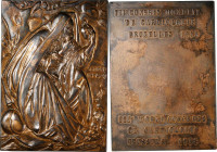 BELGIUM. World Cardiology Conference Bronze Plaque, 1958. UNCIRCULATED Details. Tooling.

Dimensions: 49mm x 69mm; Weight: 153.11 gms. By J. Dillens...