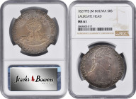 BOLIVIA. 8 Soles, 1827-PTS JM. Potosi Mint. NGC MS-61.

KM-97. Laureate Head type. Warmly toned in dusky pearl-gray, splashes of olive-charcoal pati...
