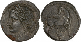 North Africa, Carthage - Bi 1 1/2 Shekel - (203-201 BC)
A/ 
R/
Nice very fine - 
8.53g - 23.7mm - 1h.