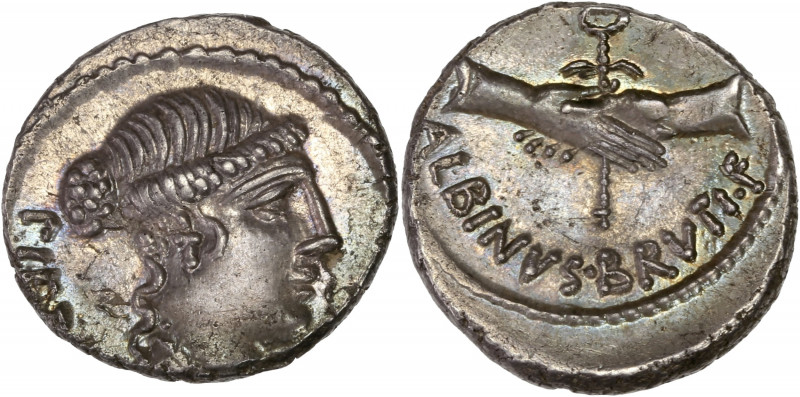 D. Iunius Brutus Albinus (48BC) Ar Denarius - Rome 
A/ PIETAS 
R/ ALBINVS BRVTI ...