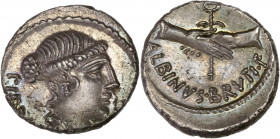 D. Iunius Brutus Albinus (48BC) Ar Denarius - Rome 
A/ PIETAS 
R/ ALBINVS BRVTI F 
Extremely fine
4.02g - 18.15mm - 8h.