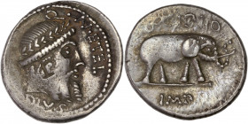 Q. Caecilius Metellus Pius Scipio (47-46BC) Ar Denarius - Rome 
A/ Q METEL PIVS 
R/ SCIPIO IMP 
Good very fine
3.77g - 17.9mm - 10h.