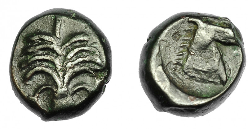 GRECIA ANTIGUA. ZEUGITANIA. Cartago. AE (350-320 a.C.). A/ Palmera con dos racim...