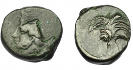 GRECIA ANTIGUA. ZEUGITANIA. Cartago. AE (350-320 a.C.). A/ Palmera con dos racimos de dátiles. R/ Doble acuñación con cabeza de caballo a der. y Tanit...