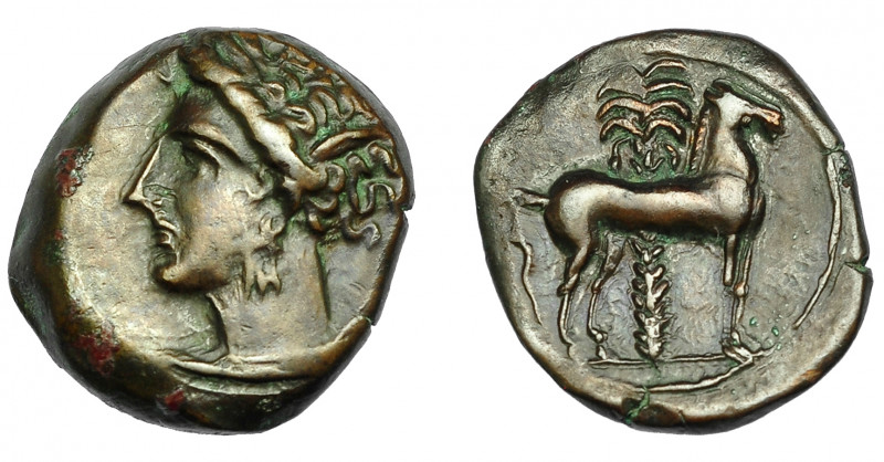GRECIA ANTIGUA. ZEUGITANIA. Cartago. 1/2 calco (400-350 a.C.). A/ Cabeza de Tani...