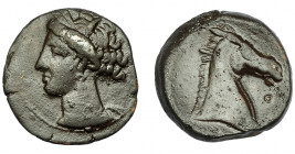 GRECIA ANTIGUA. ZEUGITANIA. Cartago. Calco (300-264 a.C.). A/ Cabeza de Tanit a izq. R/ Cabeza de caballo a der, delante círculo. AE 4,75 g. 20,19 mm....