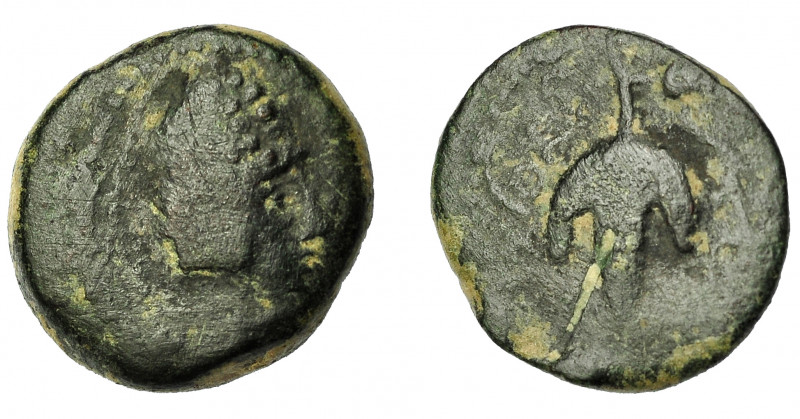 GRECIA ANTIGUA. MAURITANIA. Lixus. AE (50-1 a.C.). R/ Racimo de uvas. AE 3,83g. ...