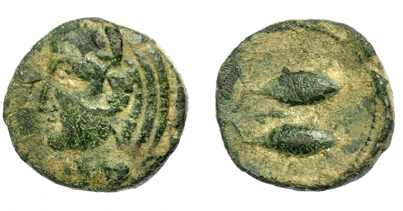HISPANIA ANTIGUA. GADIR. Mitad. A/ Cabeza de Melkart con leonté a izq. R/ Dos at...