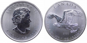 Canada - Regina Elisabetta II (1953-2021) 5 Dollari (1 Oncia) 2014 "Uccelli rapaci - Aquila di mare testabianca"- Ag - UC# 225
FS

 Worldwide shipp...