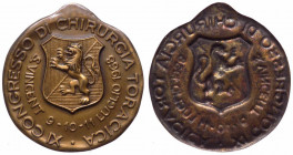 Italia, Saint Vincent, medaglia uniface per l' XI congessso di chirurgia toracica, 1968; Ae - gr. 55 - Ø mm38
FDC

 Worldwide shipping