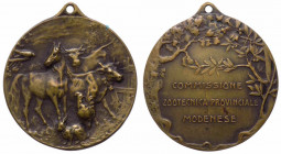 Medaglia emessa commemorativa della commissione zootecnica provinciale modenese - AE - con appiccagnolo - gr. 10,36 - Ø mm32
FDC

 Shipping only in...