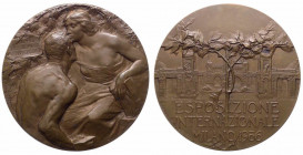 Italia, medaglia per l'Esposizione Internazionale di Milano, opus Giannino-Johnson, 1906, Ae. - gr. 118.56 - Ø mm61
FDC

 Shipping only in Italy