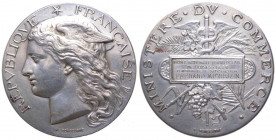 Francia, medaglia premio del Ministero del Commercio a Fernand Michelon, 1888, opus Ponscarme; Ag - gr. 65 - Ø mm51
SPL

 Shipping only in Italy
