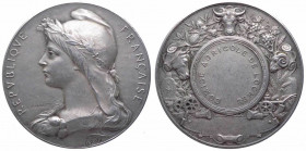 Francia, XIX secolo, medaglia COMICE AGRICOLE DE LOCHES, opus Roty; A - gr. 57 - Ø mm50
SPL

 Shipping only in Italy