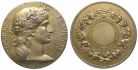 Francia, XIX - XX secolo, medaglia premio per l'agricoltura; opus Dupuis-Lagrange; Ag dorato? - gr. 67,335 - Ø mm51
SPL

 Shipping only in Italy