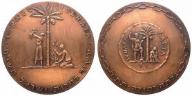 Isreale, "ISRAEL LIBERATA", medaglia per il decimo anniversario della fondazione dello Stato, 1958; Ae - gr. 105 - Ø mm61
FDC

 Worldwide shipping