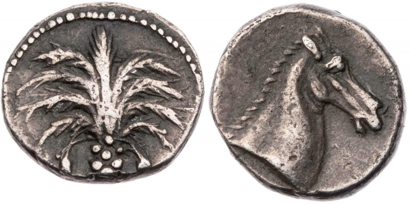 SIZILIEN SIKULOPUNIER
 AR-Litra 4. Jh. v. Chr. Vs.: Dattelpalme, Rs.: Pferdekop...