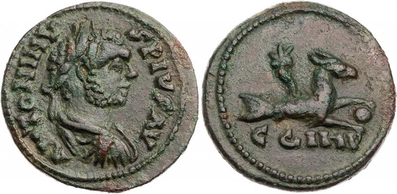 MYSIEN PARIUM
Caracalla, 198-217 n. Chr. AE-As 212-217 n. Chr. Vs.: ANTONINV-S ...