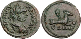 MYSIEN PARIUM
Caracalla, 198-217 n. Chr. AE-As 212-217 n. Chr. Vs.: ANTONINV-S PIVS AV, gepanzerte und drapierte Büste mit Lorbeerkranz n. r., Rs.: C...
