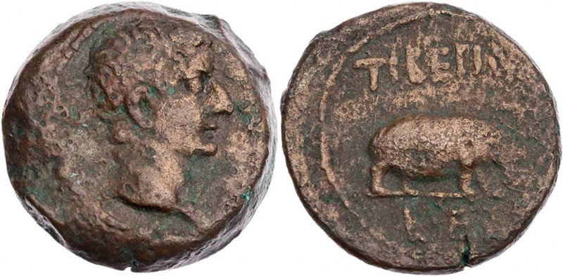 ÄGYPTEN ALEXANDRIA
Tiberius, 14-37 n. Chr. AE-Obol 18/19 n. Chr. (= Jahr 5) Vs....