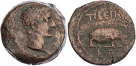 ÄGYPTEN ALEXANDRIA
Tiberius, 14-37 n. Chr. AE-Obol 18/19 n. Chr. (= Jahr 5) Vs.: Kopf n. r., Rs.: Nilpferd n. r., im Abschnitt Jahresangabe Dattari/S...