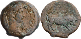ÄGYPTEN ALEXANDRIA
Claudius, 41-54 n. Chr. AE-Diobol 42/43 n. Chr. (= Jahr 3) Vs.: Kopf mit Lorbeerkranz n. r., rechts im Feld Stern, Rs.: Stier stöß...