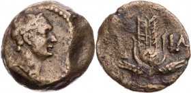 ÄGYPTEN ALEXANDRIA
Domitianus, 81-96 n. Chr. AE-Dichalkon 91/92 n. Chr. (= Jahr 11) Vs.: Kopf mit Ährenkranz n. r., Rs.: Isiskrone mit Kornähren, in ...