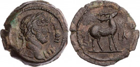 ÄGYPTEN ALEXANDRIA
Hadrianus, 117-138 n. Chr. AE-Obol 126/127 n. Chr. (= Jahr 11) Vs.: Kopf mit drapierter linker Schulter und Lorbeerkranz n. r., Rs...