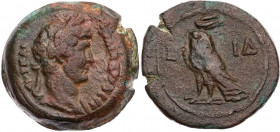 ÄGYPTEN ALEXANDRIA
Hadrianus, 117-138 n. Chr. AE-Obol 129/130 n. Chr. (= Jahr 14) Vs.: Kopf mit drapierter linker Schulter und Lorbeerkranz n. r., Rs...