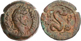 ÄGYPTEN ALEXANDRIA
Antoninus Pius, 138-161 n. Chr. AE-Diobol 144/145 n. Chr. (= Jahr 8) Vs.: Kopf mit Lorbeerkranz n. r., Rs.: Agathodaimon-Schlange ...