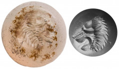GEMMEN UND SIEGELSTEINE
 Intaglio Chalzedon, milchig-grau mit braunen Einschlüssen, rund, stark konvexe Oberseite, mit der Darstellung eines Löwenkop...